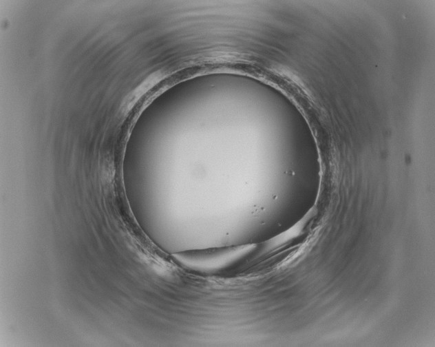 X0000070361065200606161246