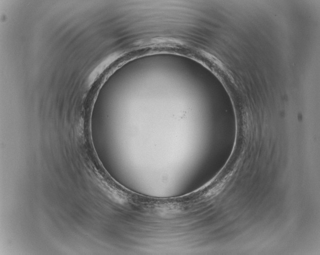 X0000070361066200606161246