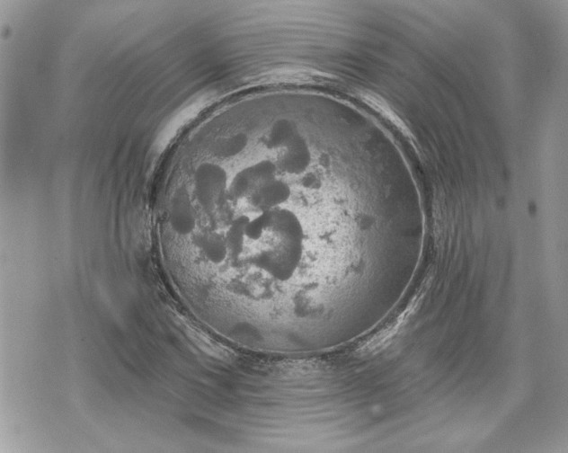 X0000070361067200606161246