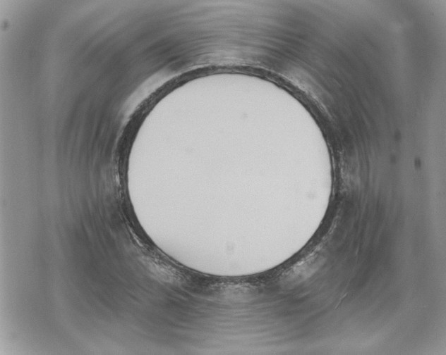 X0000070361070200606161246