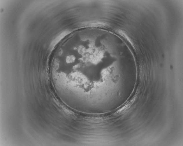 X0000070361071200606161246