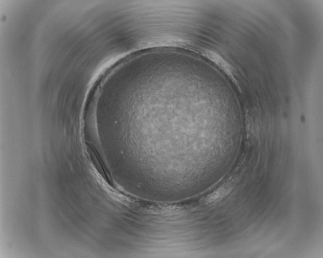 X0000070361072200606161246