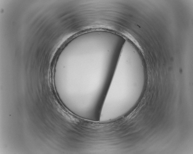 X0000070361076200606161246