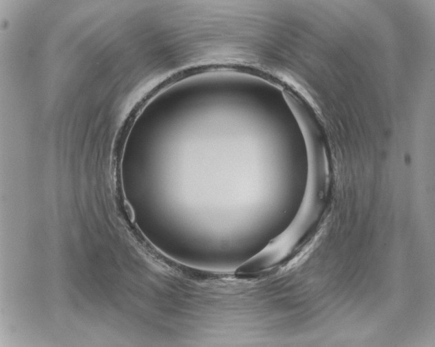 X0000070361077200606161246