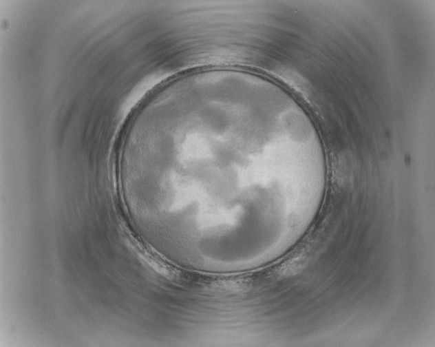 X0000070361078200606161246