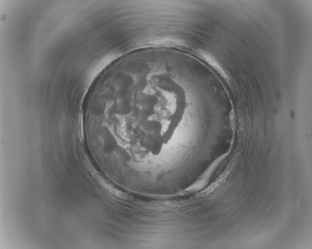 X0000070361079200606161246