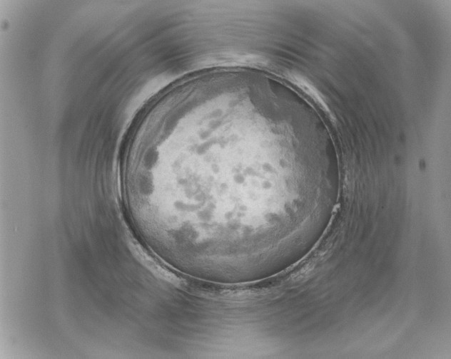 X0000070361080200606161246