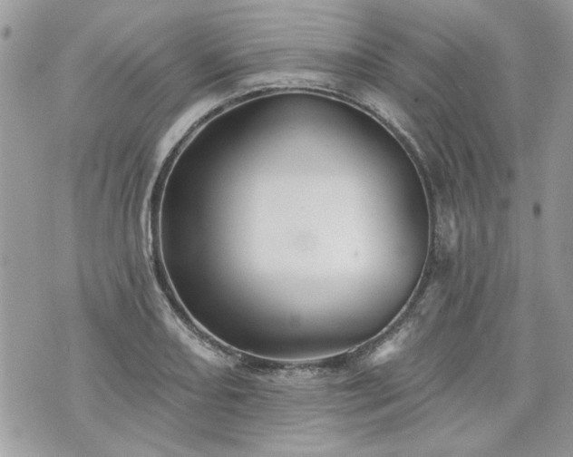 X0000070361082200606161245