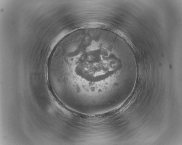 X0000070361083200606161245