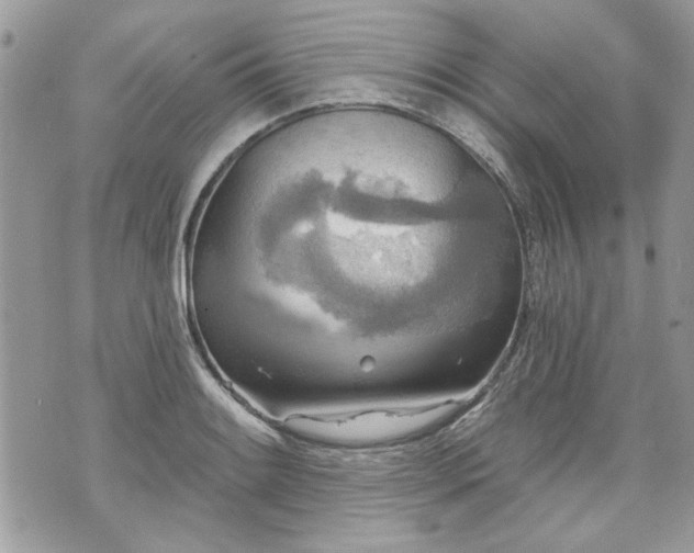 X0000070361084200606161245