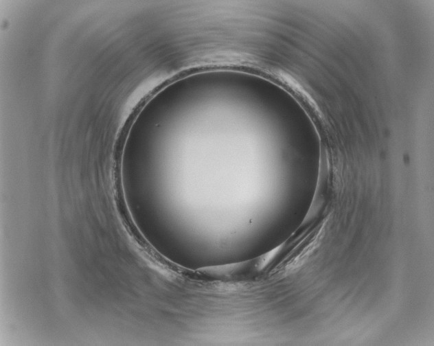 X0000070361085200606161245