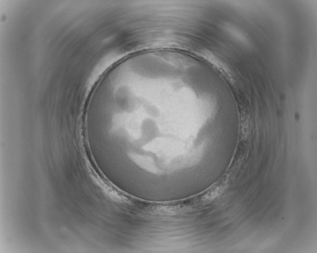 X0000070361086200606161245