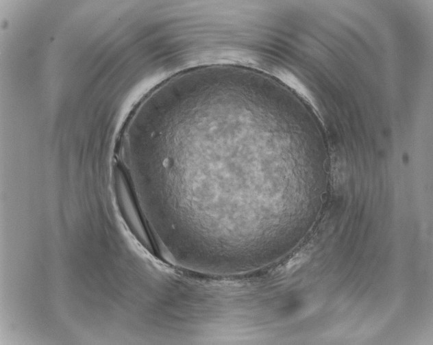 X0000070361088200606161245