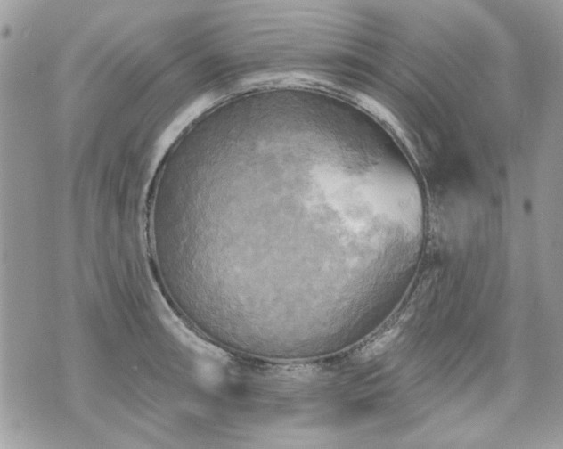 X0000070361090200606161245