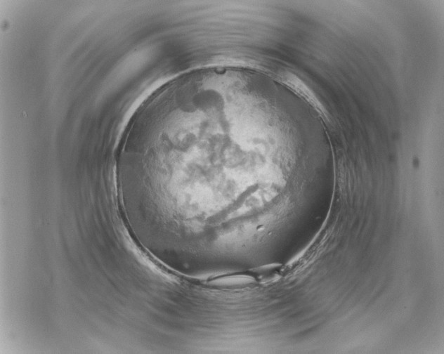 X0000070361092200606161245