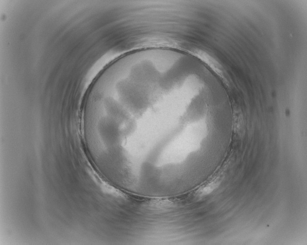 X0000070361094200606161245