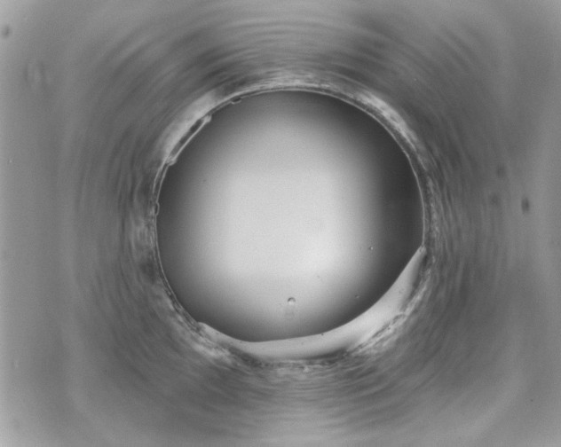 X0000070361097200606161245