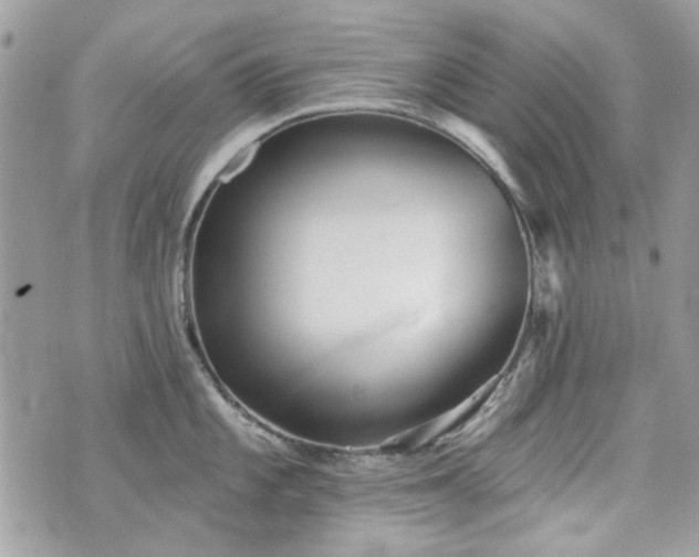 X0000070361101200606161245