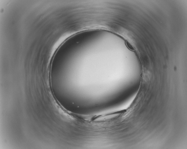 X0000070361102200606161245