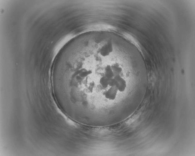 X0000070361103200606161245