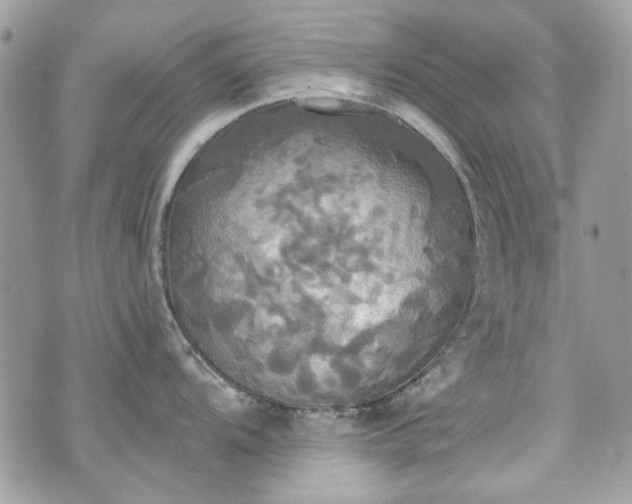 X0000070361104200606161245