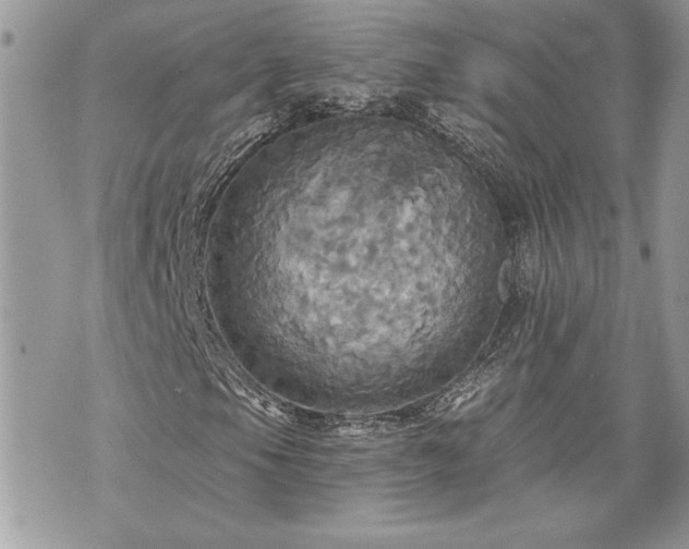 X0000070361105200606161244