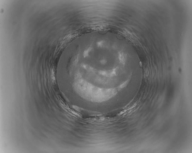 X0000070361106200606161244