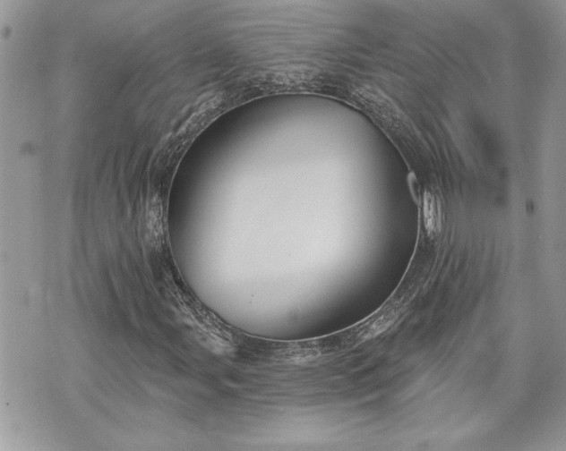 X0000070361107200606161244