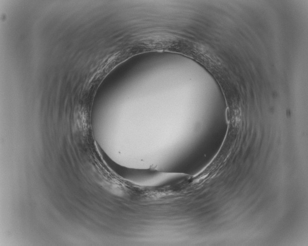 X0000070361108200606161244