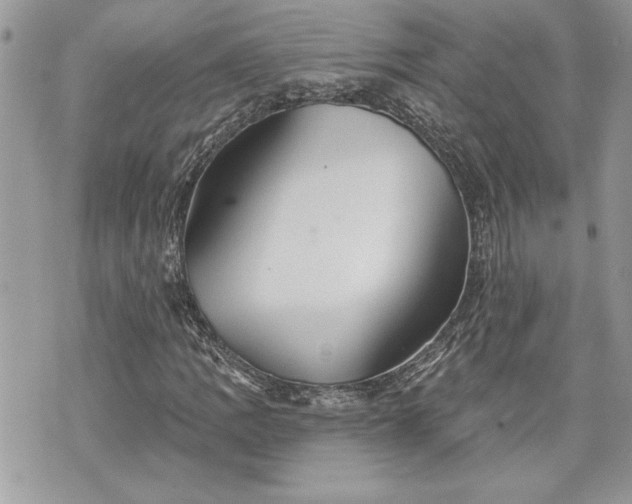 X0000070361109200606161244