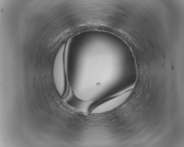 X0000070361110200606161244