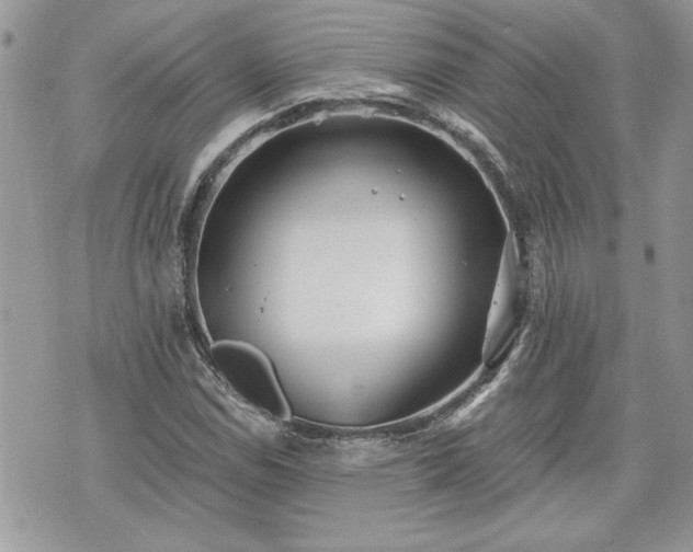 X0000070361114200606161244