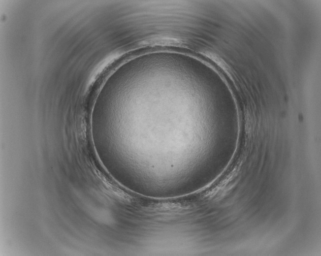 X0000070361115200606161244