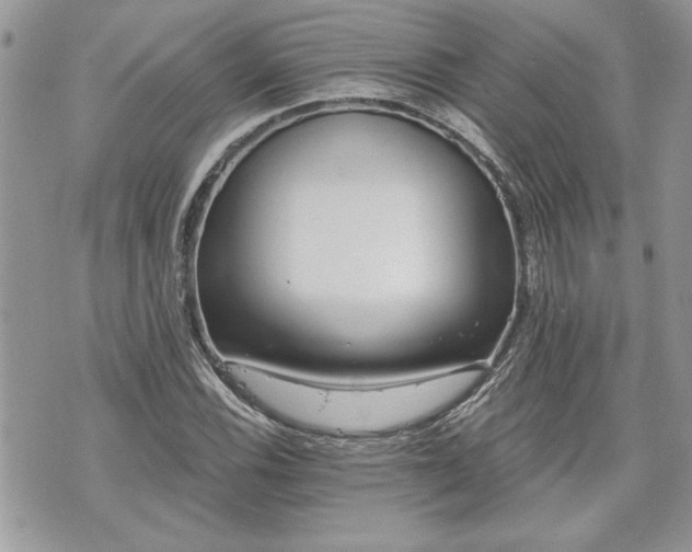 X0000070361116200606161244