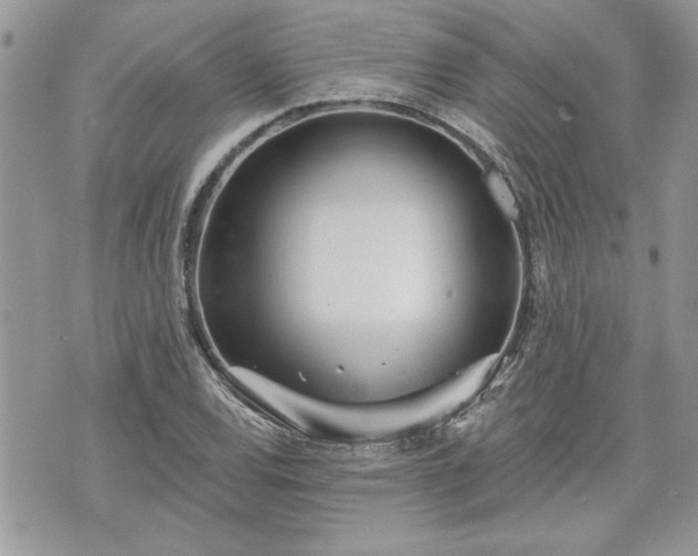 X0000070361120200606161244