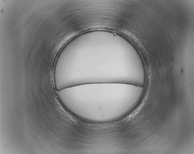 X0000070361121200606161244