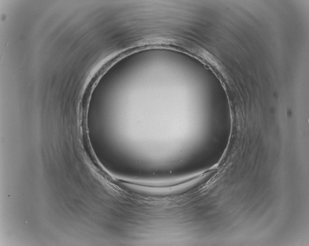 X0000070361124200606161245