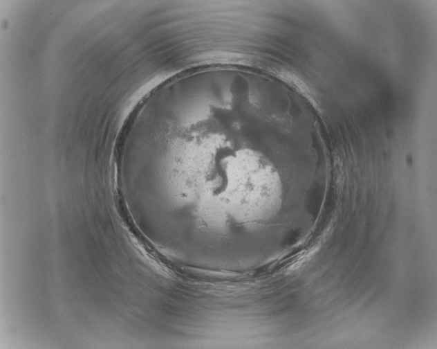 X0000070361125200606161245