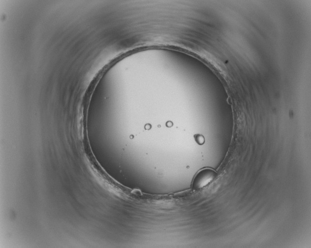 X0000070361126200606161245