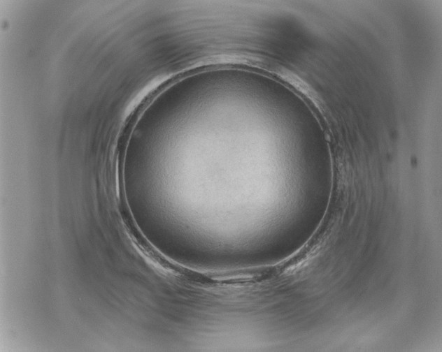 X0000070361127200606161245