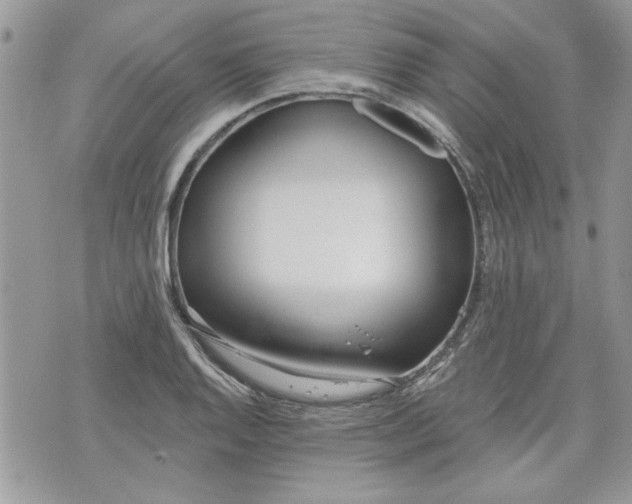 X0000070361128200606161245