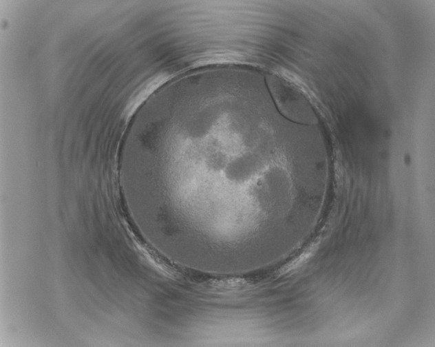 X0000070361129200606161245