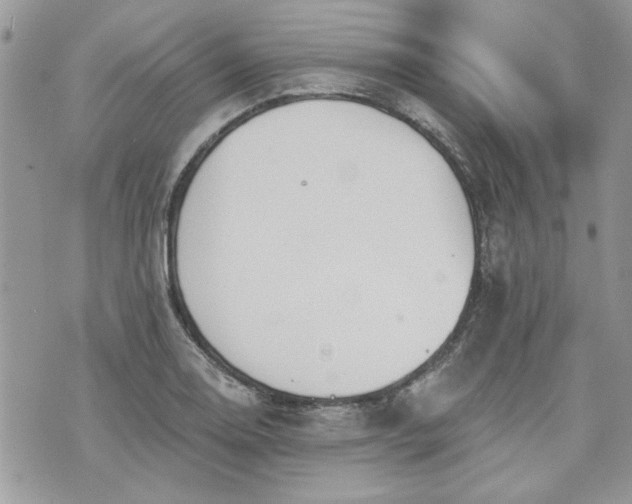 X0000070361130200606161245