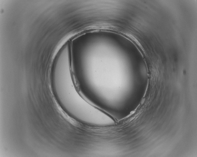 X0000070361131200606161245