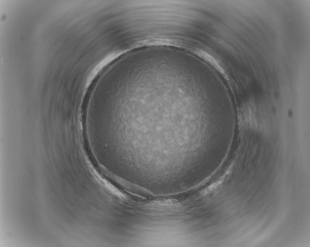 X0000070361133200606161245