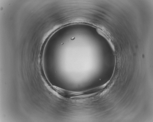 X0000070361134200606161245