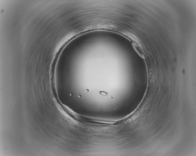 X0000070361135200606161245