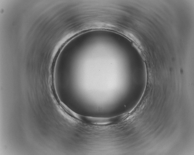 X0000070361136200606161245