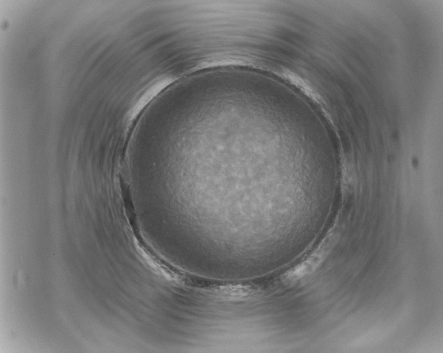 X0000070361137200606161245