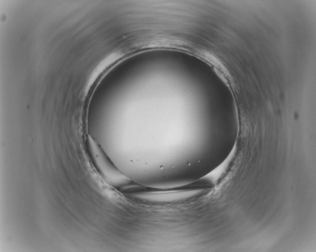 X0000070361138200606161245